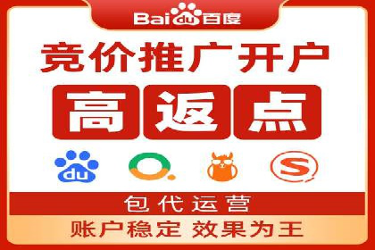 SEM主管实战技巧：案例分享与解读